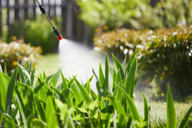 24/7 Emergency Mosquito Control experts in Akron, IA